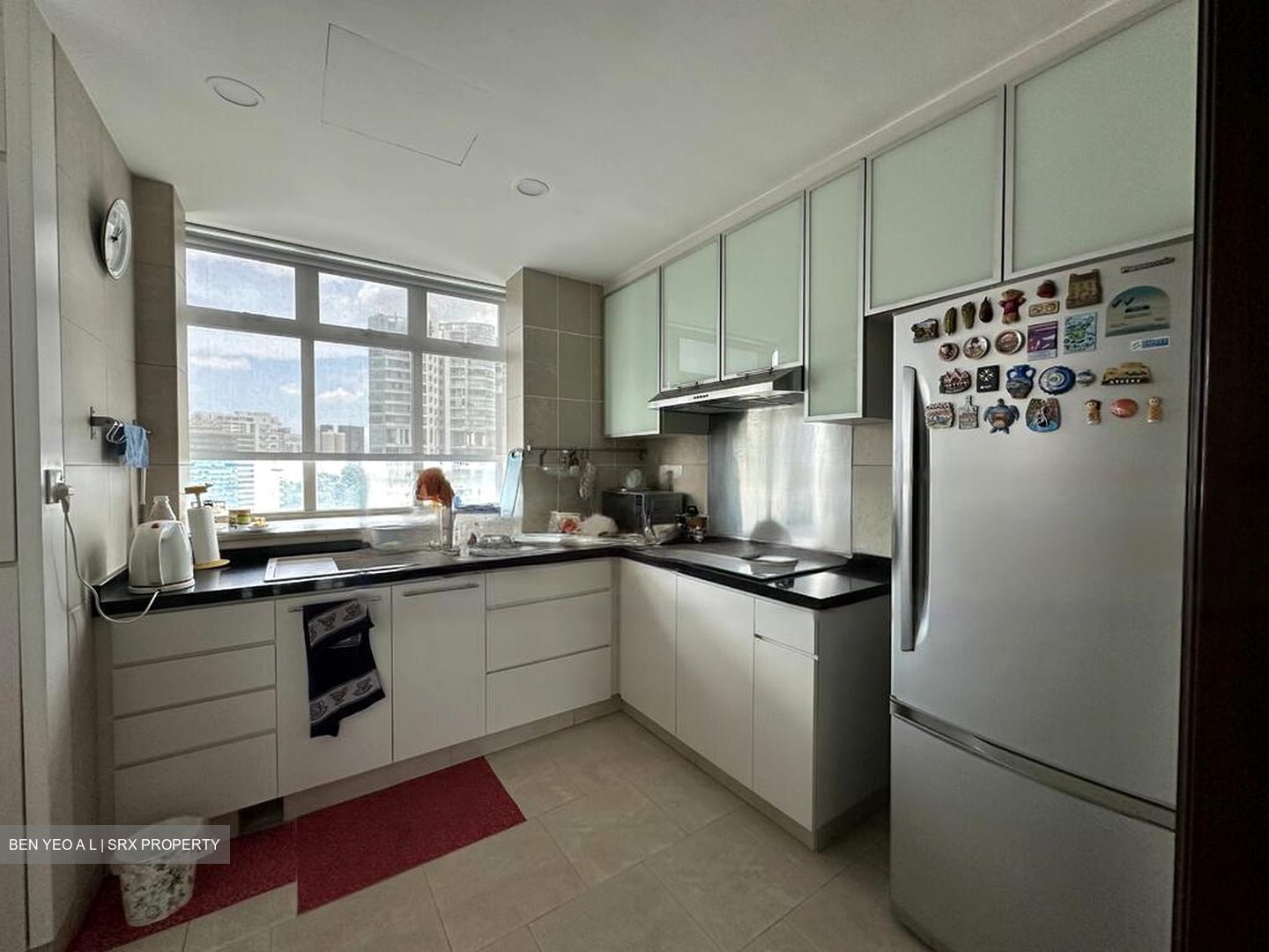 Newton 18 (D11), Apartment #484669761